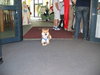 thumbs/am2007_01tn.jpg